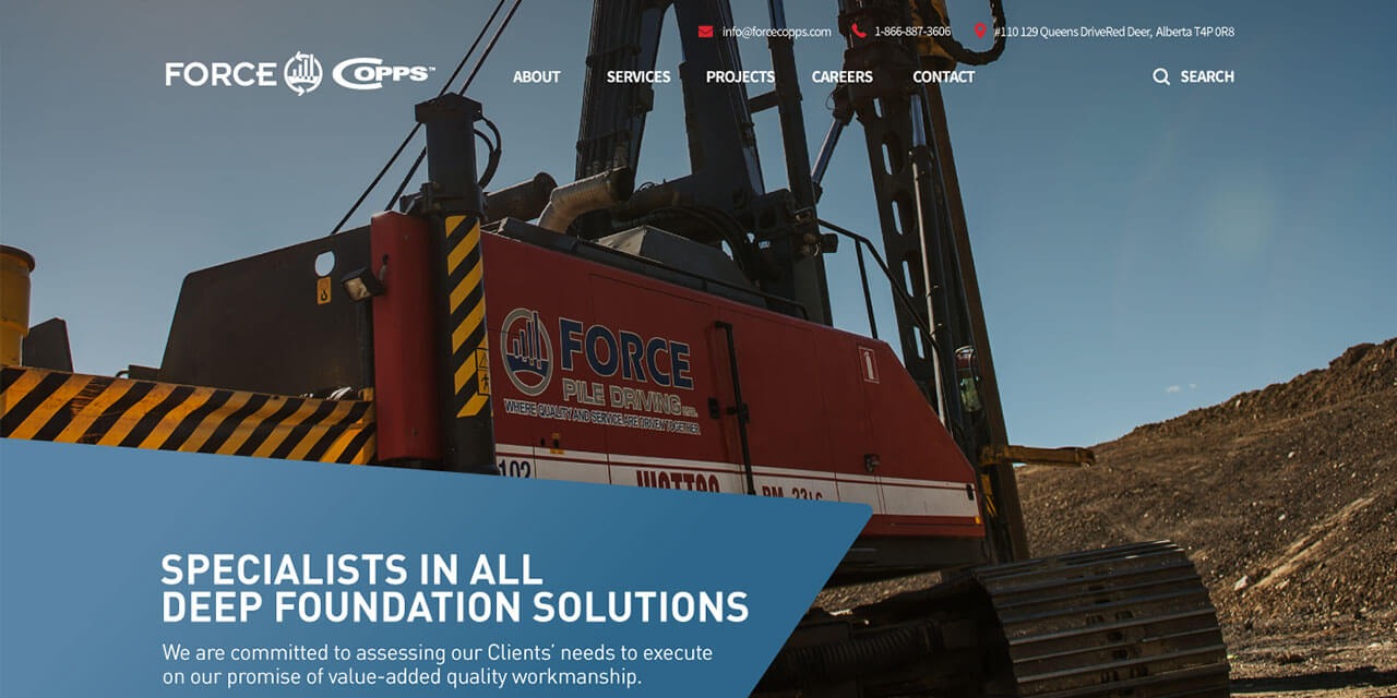 Web Verse Pro screenshot