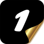 1Page logo