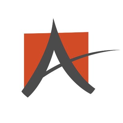 Ace Managed Security Services logo