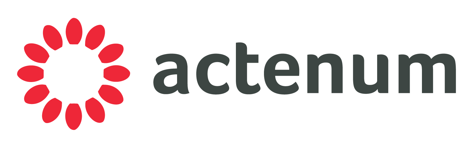 Actenum DSO logo