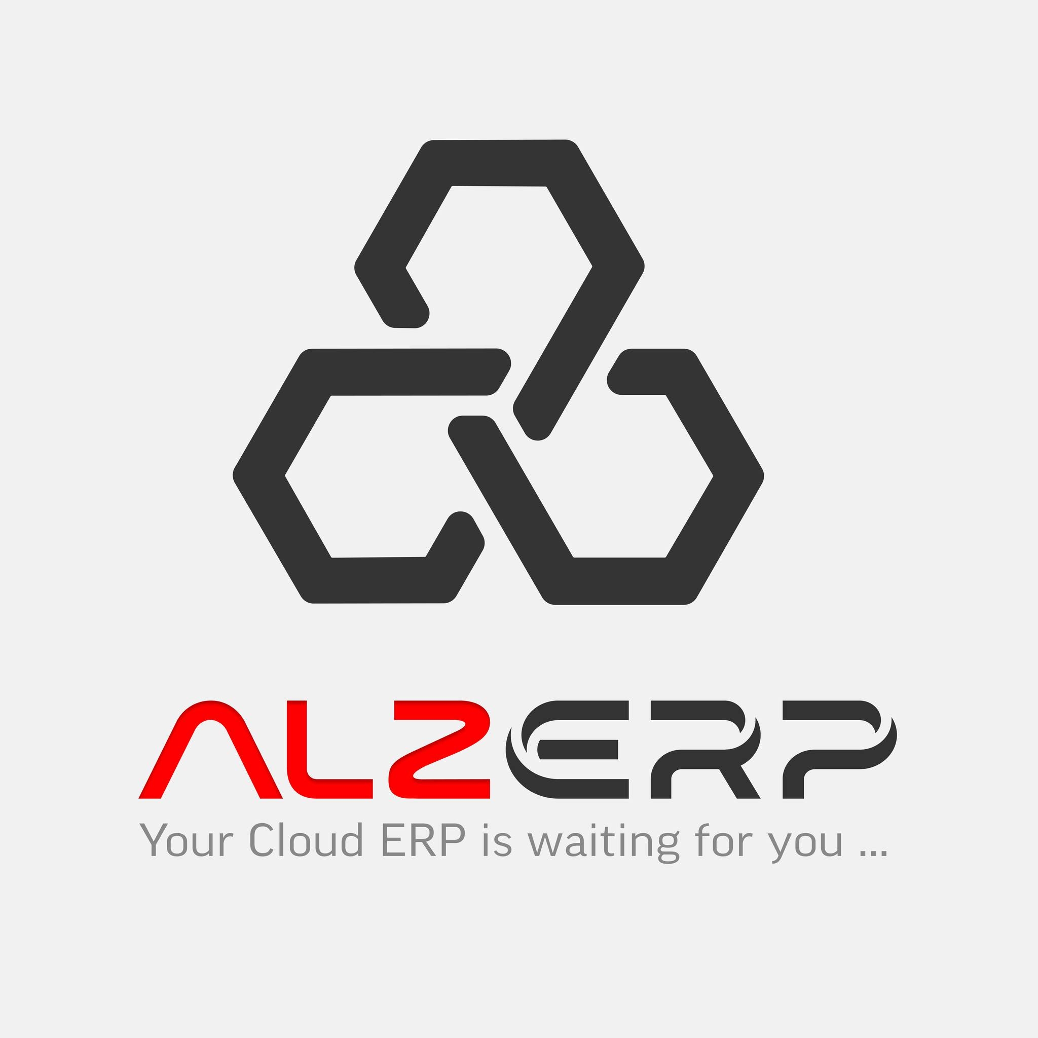 ALZ ERP logo