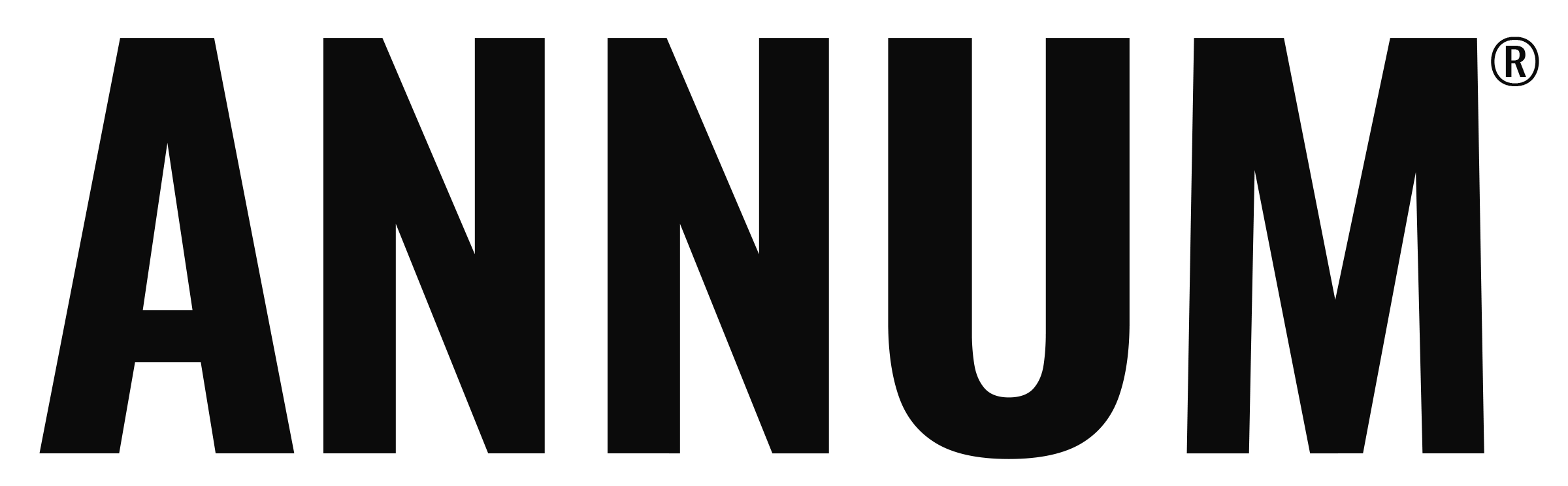 Annum logo