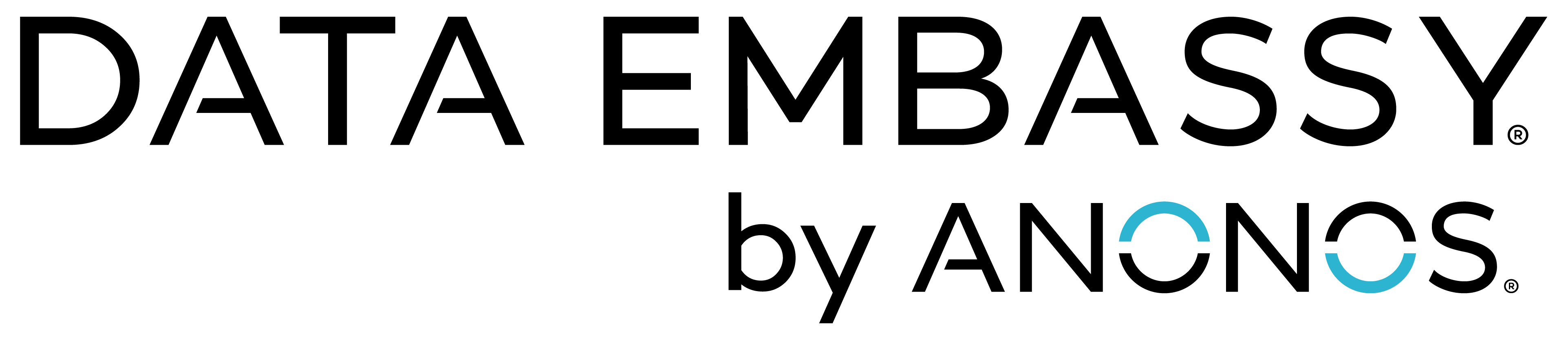 Anonos Data Embassy logo