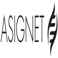 Asignet Logo