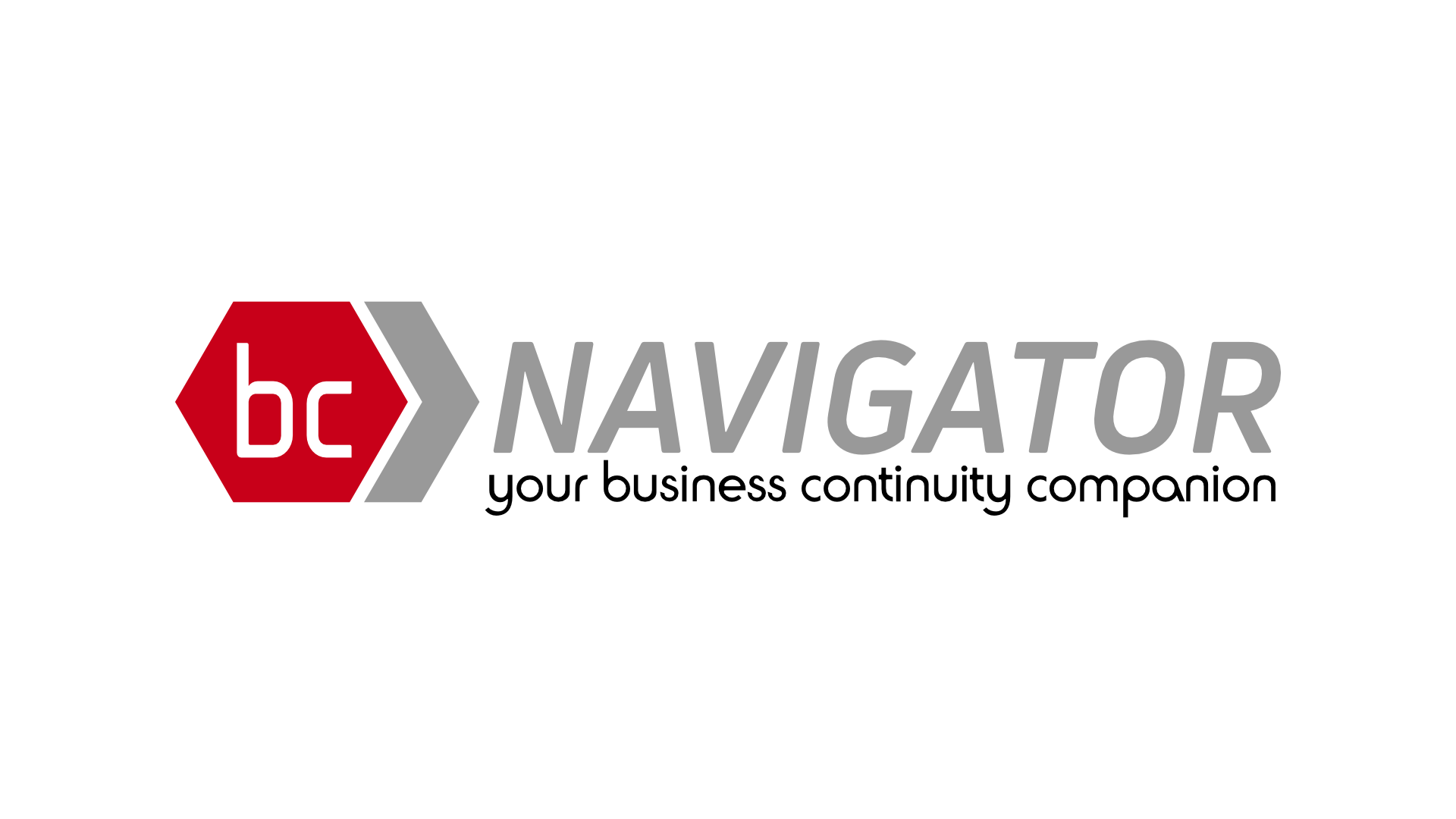 bcNAVIGATOR logo