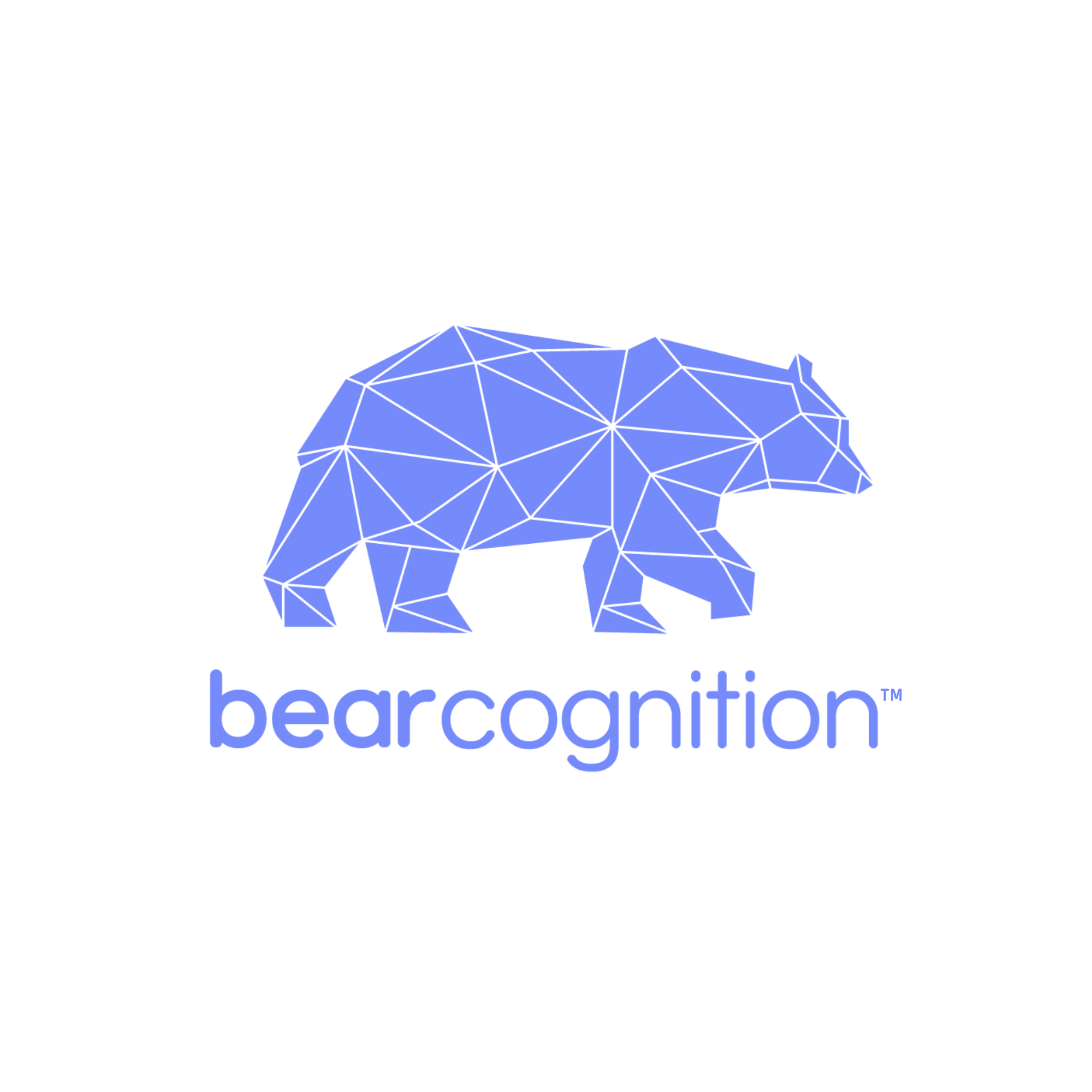 Bear Cognition logo