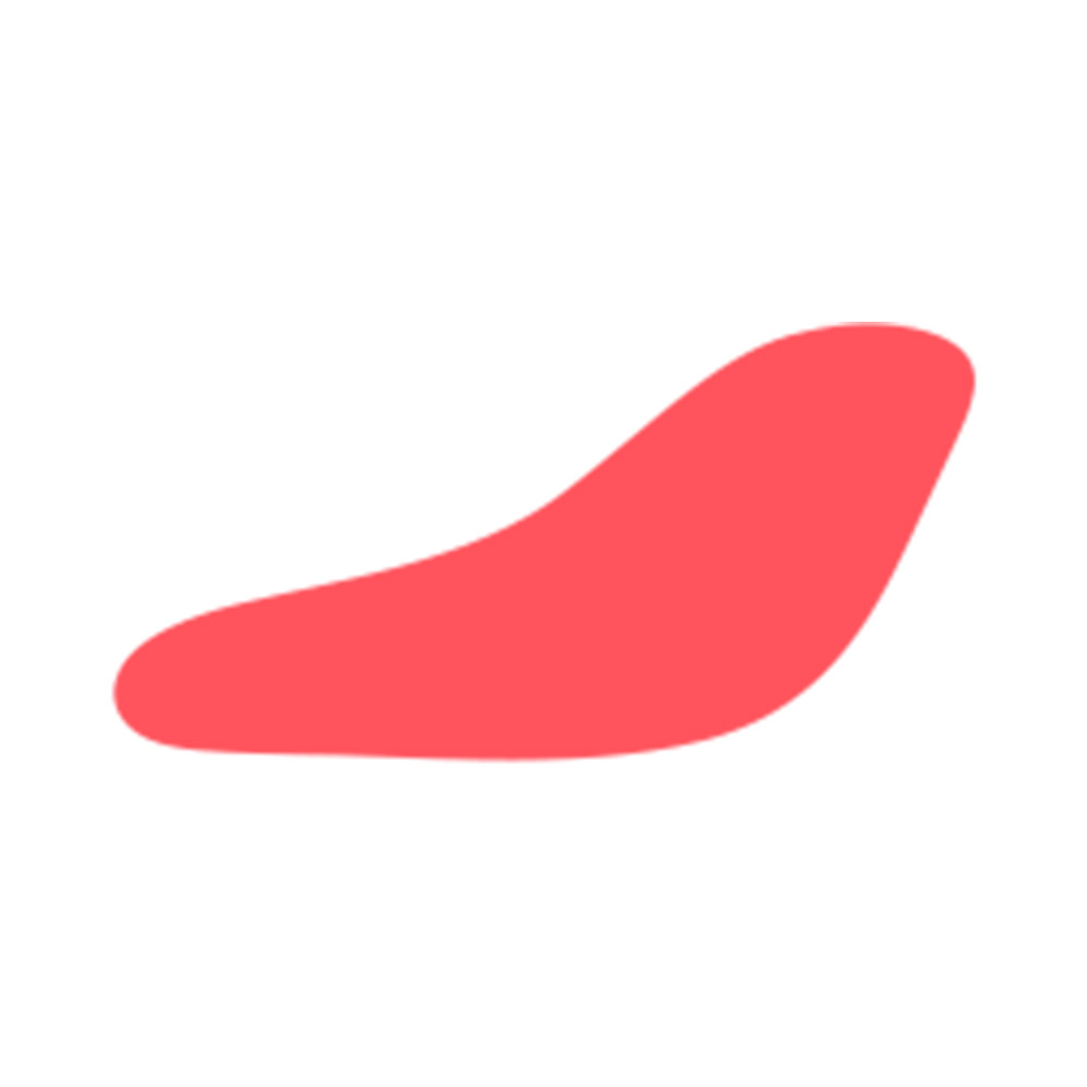 Belel logo