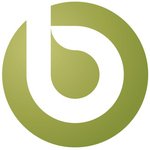 Beyond Intranet logo