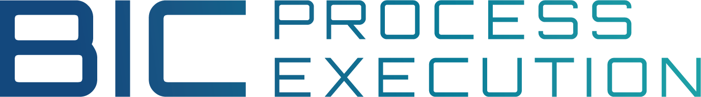 BIC Process Execution logo