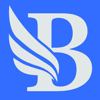 BidLight logo