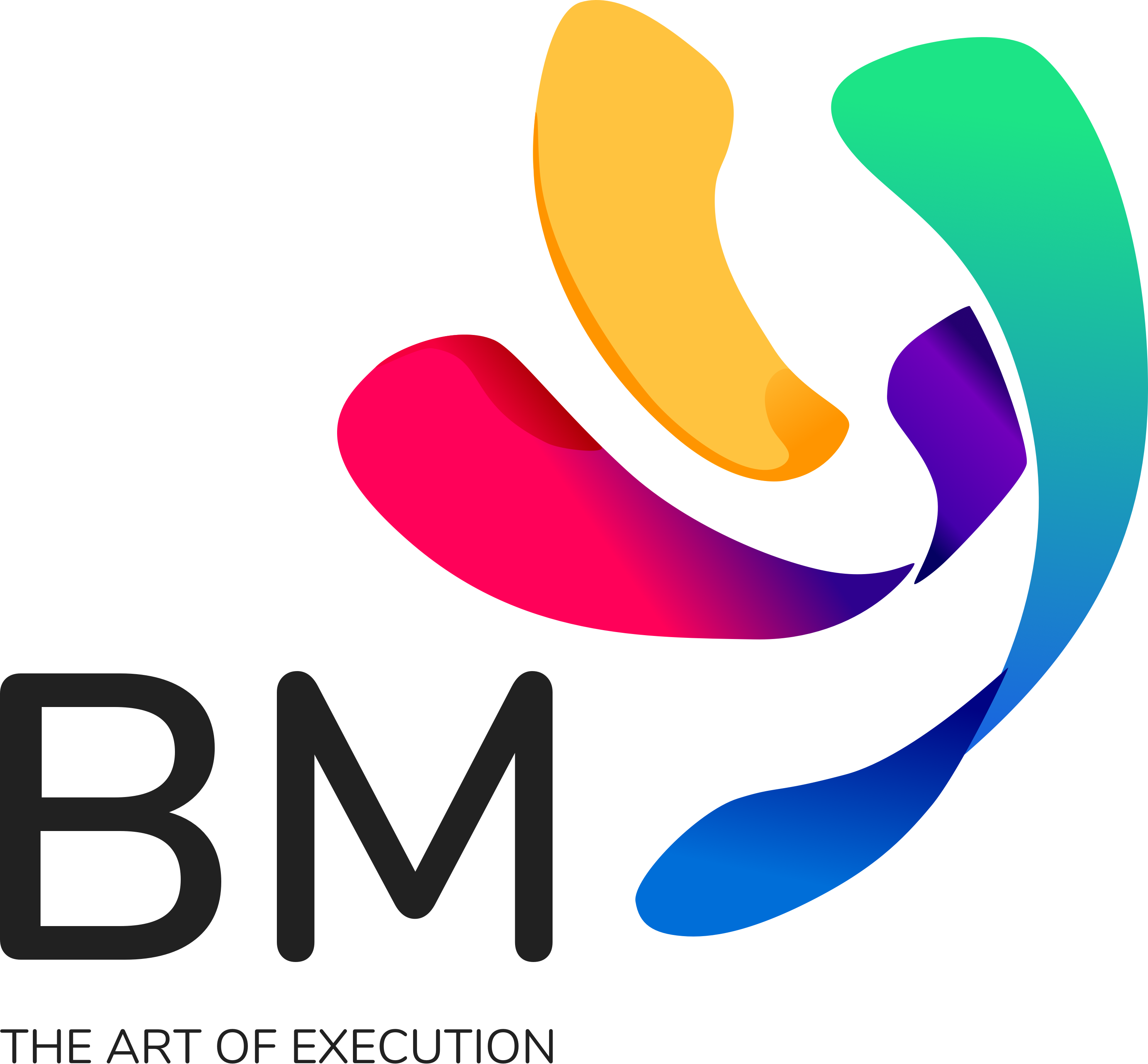 Binary Management logo
