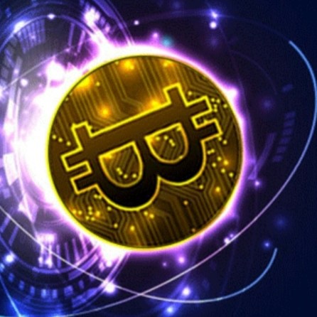 Bitcoinstorewallet logo