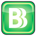 BizBudg Online logo