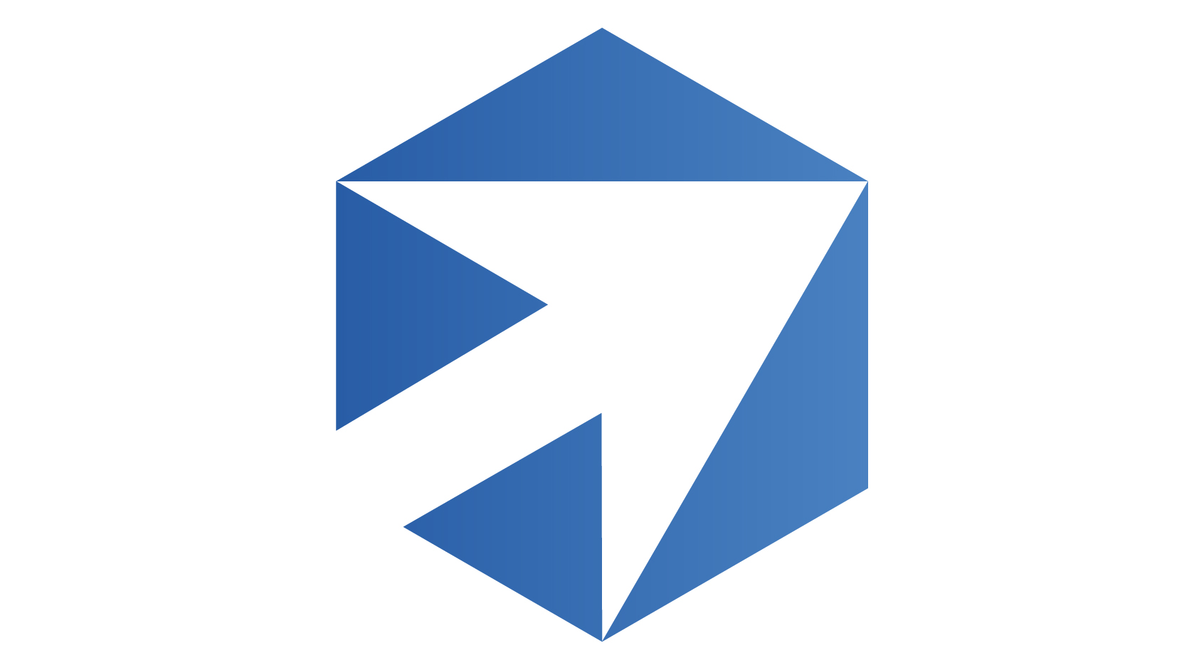 Bizom logo
