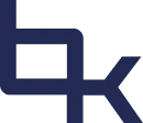 Bizzkit logo