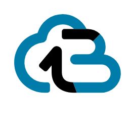 bizzrepo logo