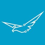 Blue Squad logo
