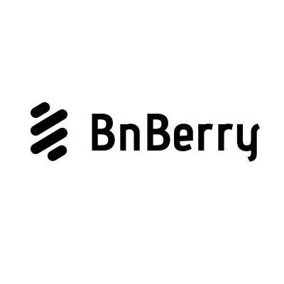 BnBerry logo