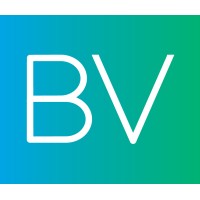 BrandVerge logo