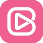Brandzooka logo