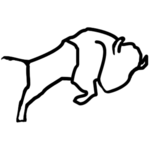 callGuard logo