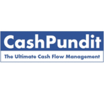 CashPundit logo