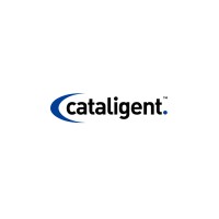 Cat4 logo