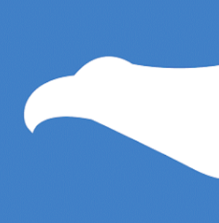 CityFALCON logo