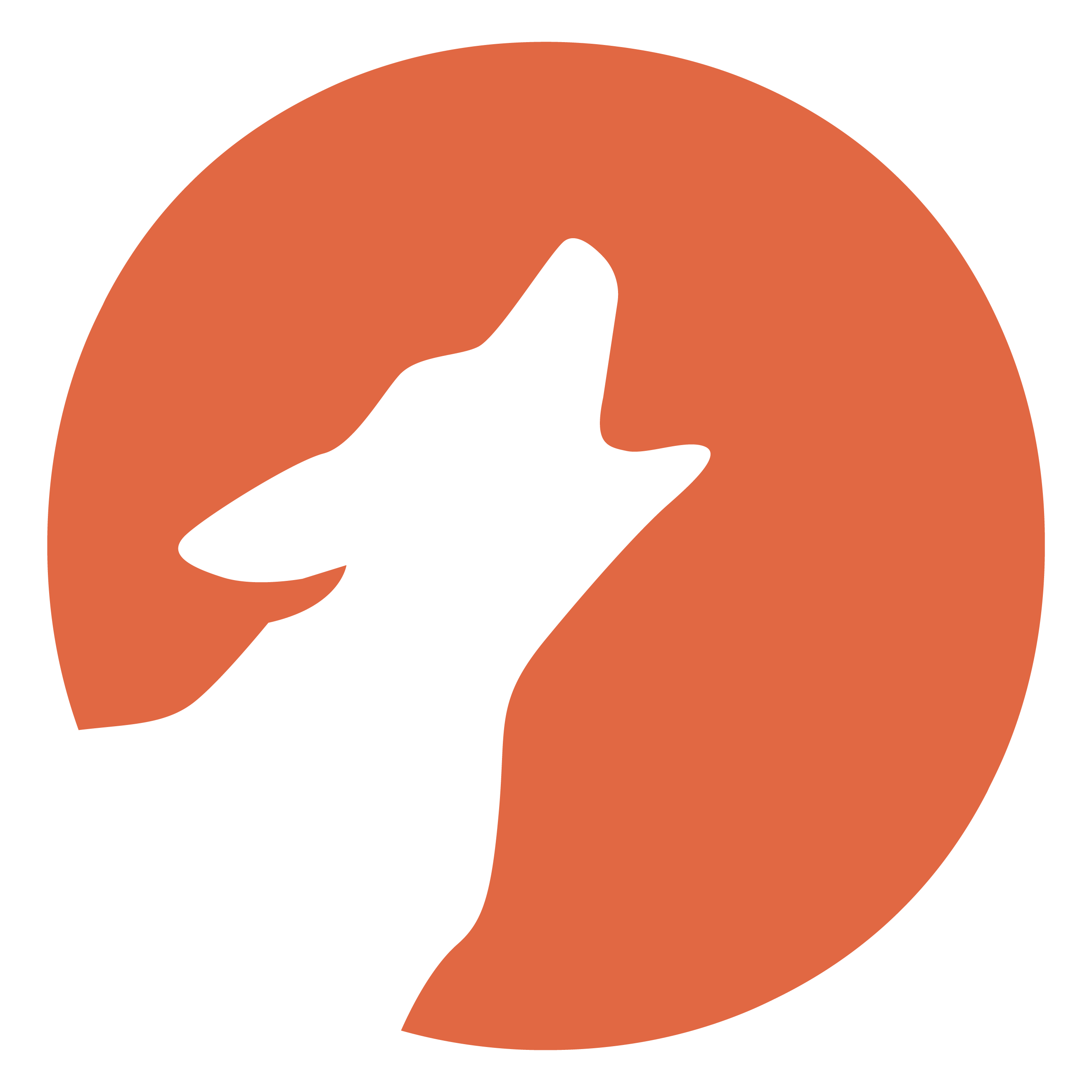 Coyote Analytics logo