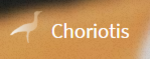 C'Pivot logo