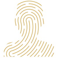 CultureID Insights logo