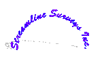Custom Online Survey Panels logo