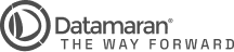 Datamaran logo