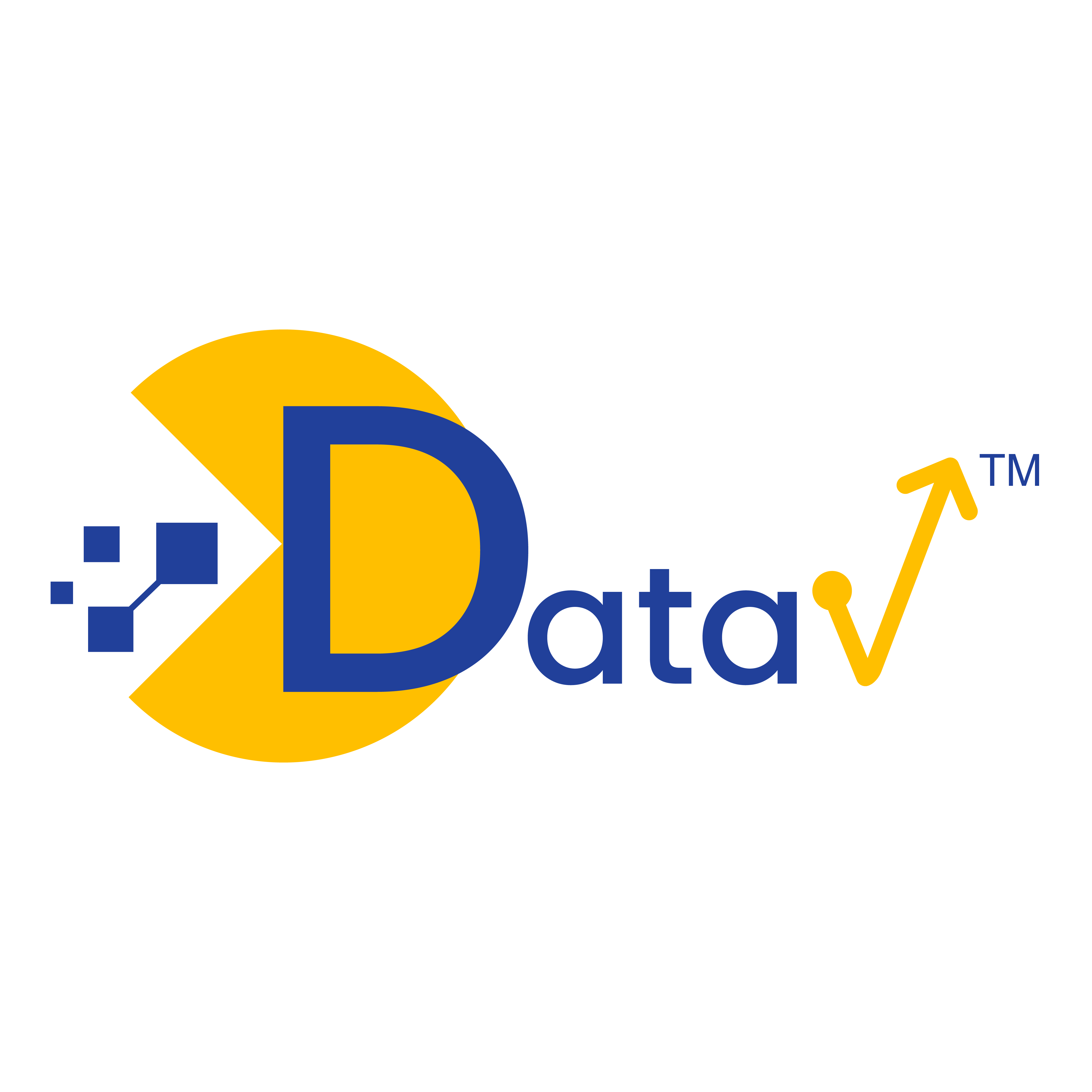 DataV logo