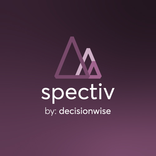 DecisionWise logo