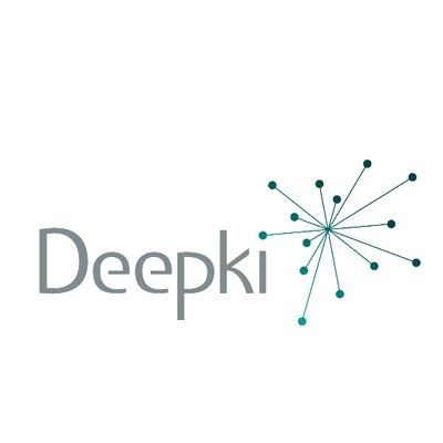 Deepki logo