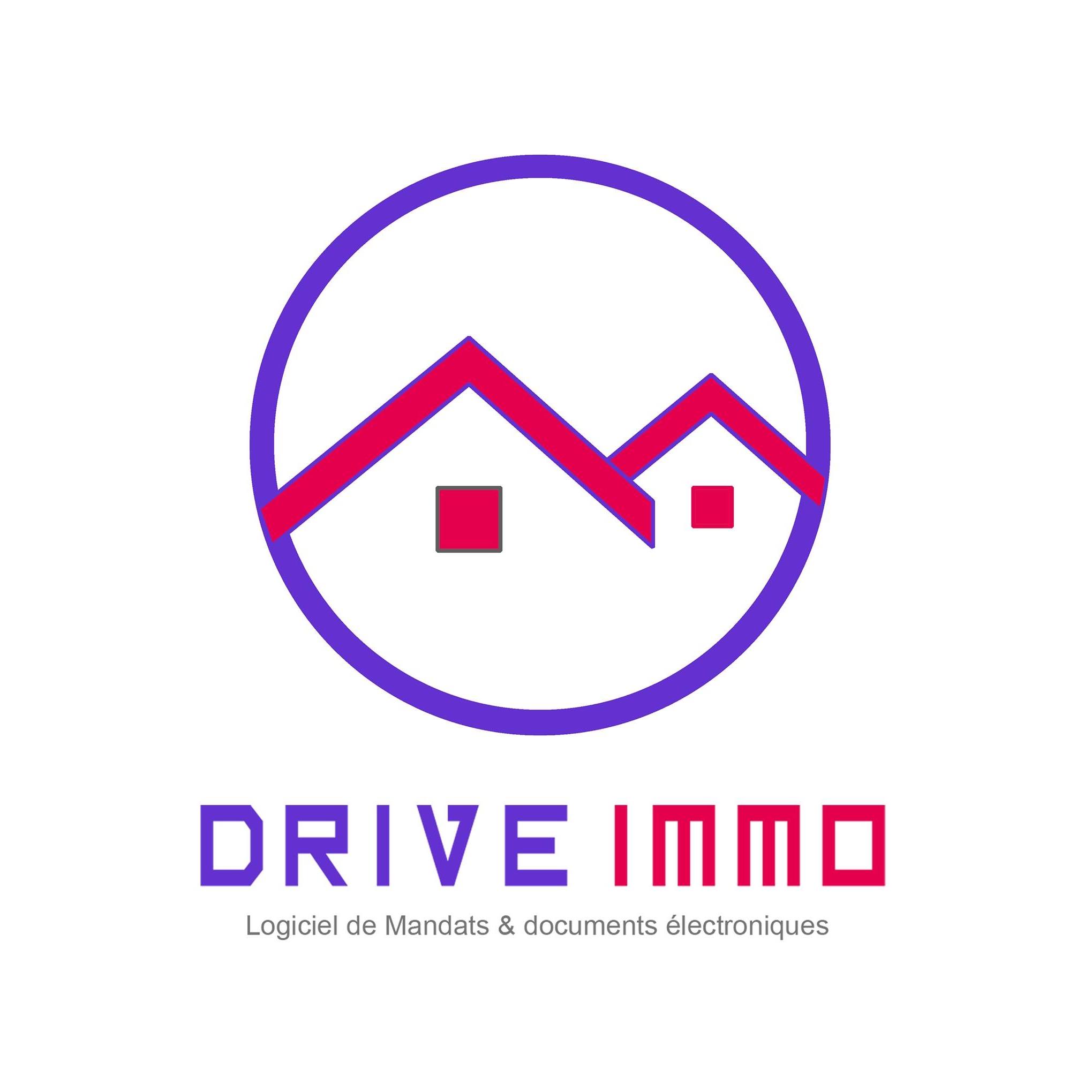 Drive Immo logo