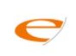 e-Solution logo