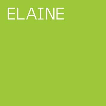 ELAINE logo