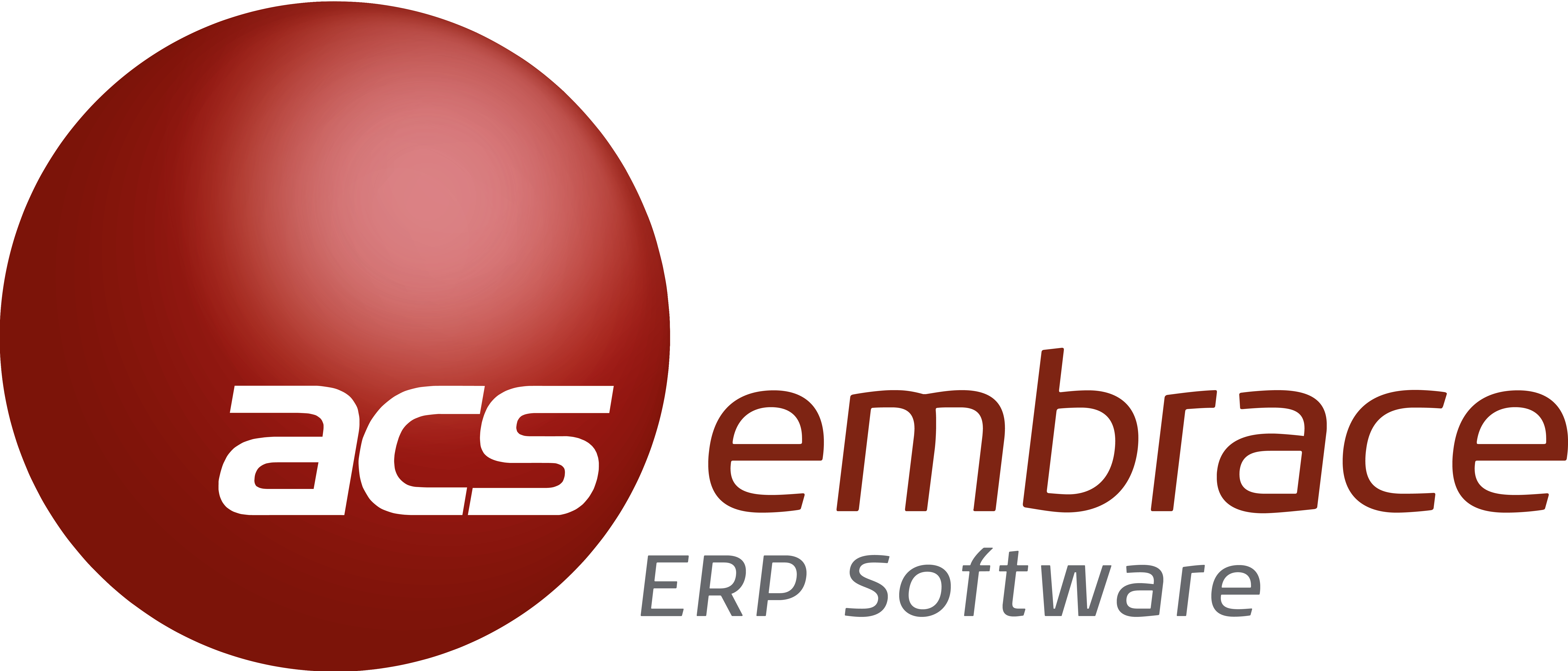 Embrace ERP logo
