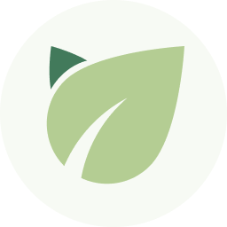 Enelyzer logo