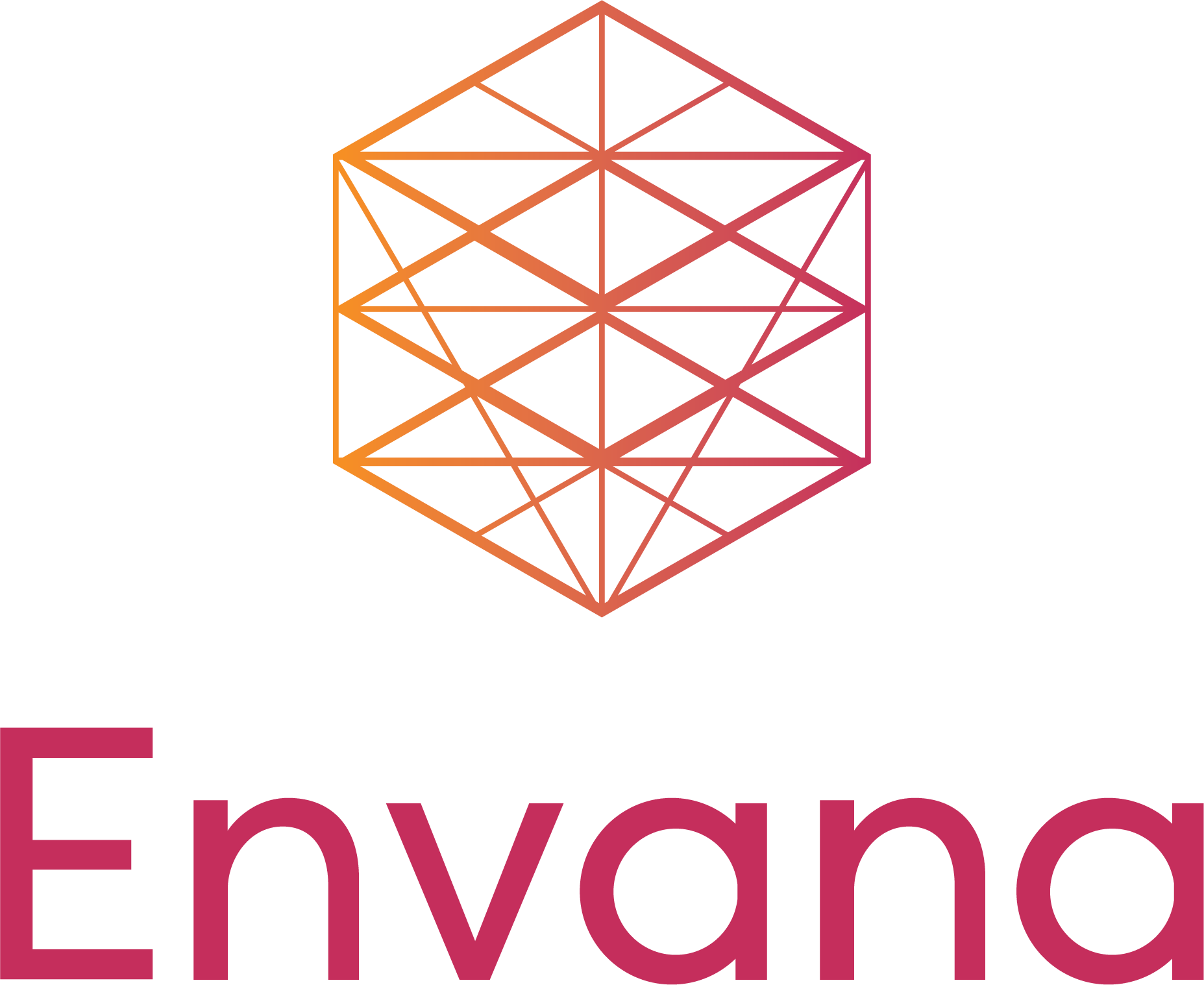 Envana Catalyst logo