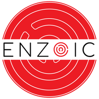 Enzoic for Active Directory Lite logo