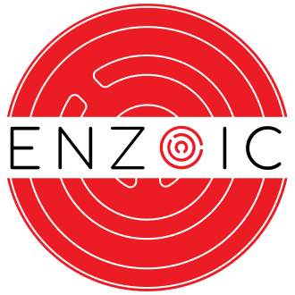 Enzoic for Active Directory logo