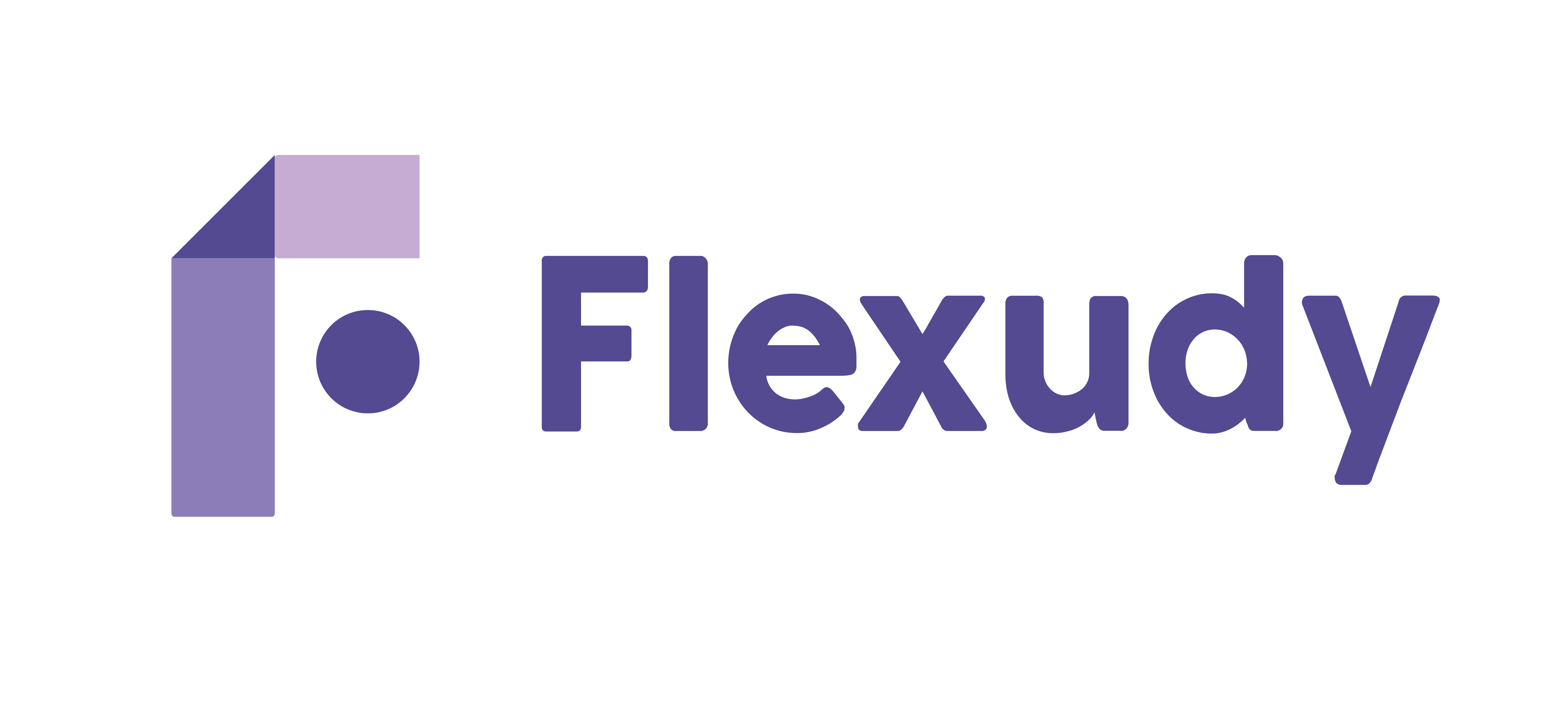 Flexudy logo