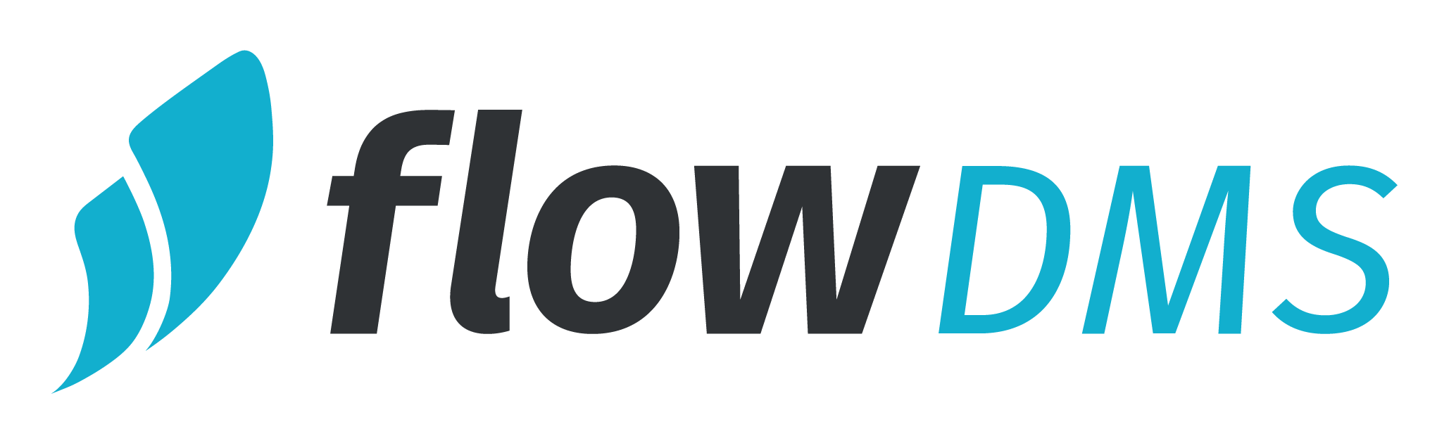 flowDMS logo