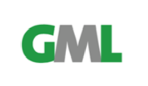 FLS VISITOUR logo