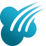 Focus ERP logo