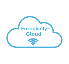 Forecisely logo