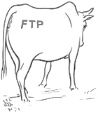 FTP in the Cloud